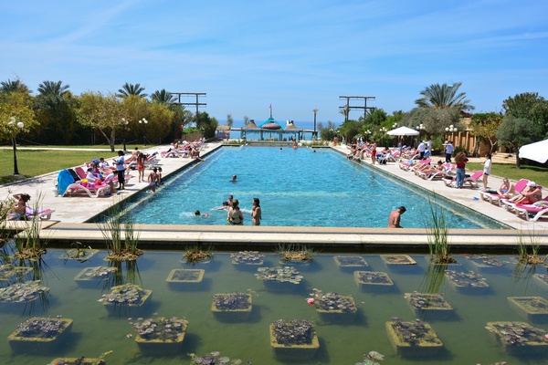 Edde Sands on Sunday